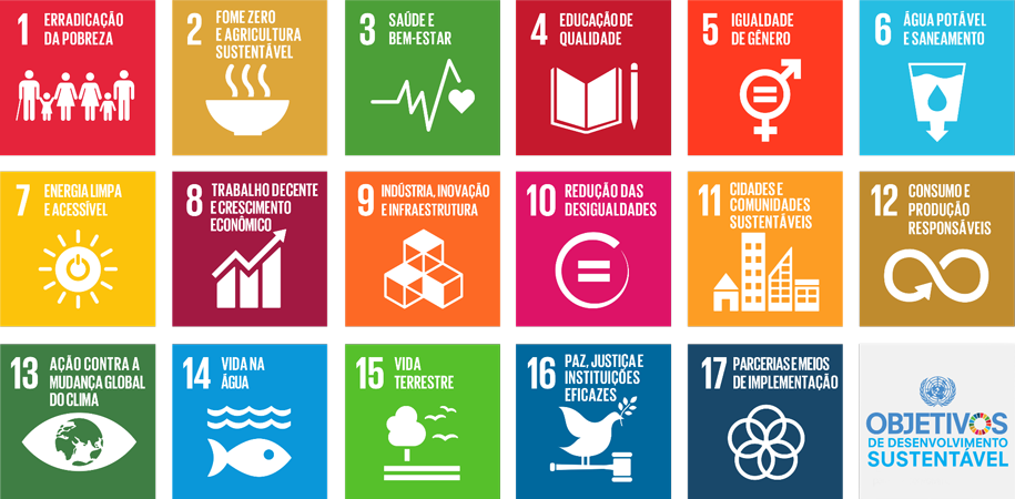 Card representando em 17 quadrados coloridos. Cada quadrado contem um meta a ser alcançada pelo Brasil na Agenda 2030. Meta global para os Objetivos do Desenvolvimento Sustentavel.