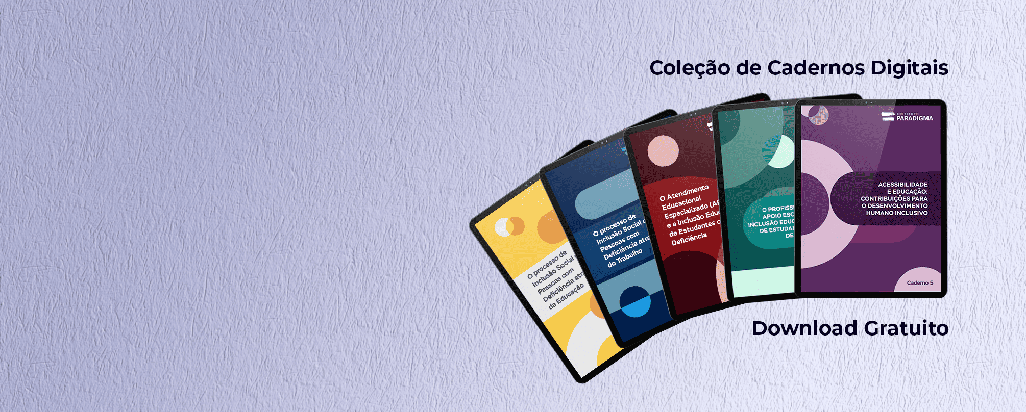 Banner 'Conheça nossos Livros e Publicações'. Exibe capas de livros físicos e digitais do Instituto Paradigma sobre inclusão.