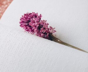 Foto de um livro em braile aberto, com um ramo de flores ao centro